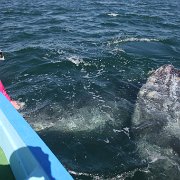 IMG 0001 2 (355)